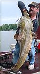 46 pound flathead cat.
Caught and released by Katchaser