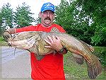 52 pound flathead caught on 20 pound test line.
Caught and released by Katchaser