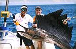 Estimated 120 pound sail taken out of Golfito Sailfish Rancho