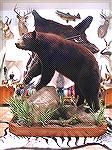 My life-size bear mount. It was killed in 2003 in British Columbia. 

Marc Plunkett of Wildlfe Creations in Phoenix mounted the bear and did the "landscaping." I built the roll-around wooden base to