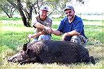 300#+ Texas feral hog taken by Mike Clerc (right) on September 13, 2004.  Tusks measured 5 3/4&quot; and 6 7/8&quot;.  Used .30-06, 165g bullet at 237 yards.  Outfitter located here: http://www.huntin
