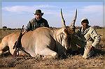 Eland, South Africa, June 2004