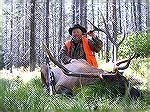 Montana 6x6 shot September 26, 2004. Took four hours to bugle this bull in. He quit us three times, but when he finally showed himself at 80 yards on the fourth try, I put a 140-grain handloaded TSX o