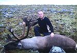 My first caribou after years of bad luck. One of many bulls we saw on our fly in hunt this August. Not the biggest but he'll do fine.