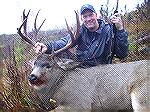 Nov 1 muley grosses 172.