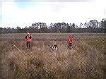 My son and a friend on their second pheasant hunt.  My son's dog, Cody is taking care of the pointing and retrieving duties.