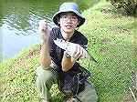Here's a Indonesian Tarpon