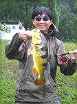 It rained whole day last week and the catch was good too. My friend Hun caught a good size pb on his SCL 3wt rod.