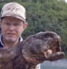 Head shot of Wolf Fish.