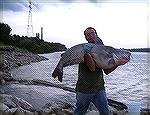 Caught from the Banks of The Mississippi River West Alton, MO