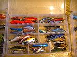 Various lipless crankbaits