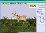 A screen shot of the CYBER DEER hunter education software.  This shot shows the classic broadside shot.  See the next image for the x-ray view of this shot.