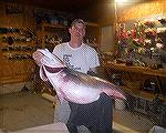 Bruce Cunningham of Fordland, MO holds a 60 pound, 9 ounce striped bass that he caught at Bull Shoals Lake June 18, 2011. New Missouri state record caught on a swimbait.