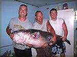 New World record blue catfish catch bythe 143-pound blue catfish caught on June 18, in the John H. Kerr Reservoir, known as Buggs Island Lake, is a new state record. The new worlf record blue catfish 