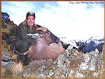 nz tahr  & Tony