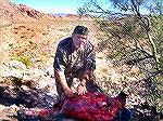 Friend Tom Joiner (TJ) skinning my desert bighorn ram killed in the Kofa Wildlife Refuge near Yuma on Dec. 8, 2012.
After 40+ years of applying for a desert bighorn tag in AZ, I finally drew one this