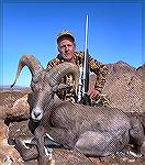 My desert bighorn ram killed in the Kofa Wildlife Refuge near Yuma on Dec. 8, 2012.
After 40+ years of applying for a desert bighorn tag in AZ, I finally drew one this year. Below is the result. He's