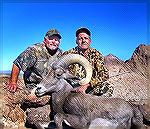 Tom Joiner (TJ) and me with Kofa ram. Desert bighorn ram killed in the Kofa Wildlife Refuge near Yuma on Dec. 8, 2012 by Tony Mandile.
After 40+ years of applying for a desert bighorn tag in AZ, I fi