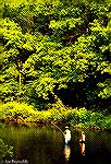 Bob Blatchley and his son Chad wade the Gunpowder River in Maryland in search of smallmouth bass.