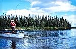 Chuck Edghill plays a brook trout caught in the Parke Lake area of the Eagle River in Labrador.