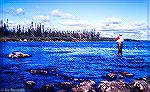 Chuck Edghill casts for brook trout in the Parke Lake area of the Eagle River in Labrador.