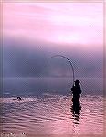 Chuck Edghill plays a brook trout caught in the Parke Lake area of the Eagle River in Labrador.