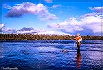 Chuck Edghill casts for brook trout in the Parke Lake area of the Eagle River in Labrador.