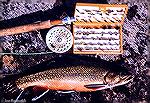 A smallish brook trout for Labrador.