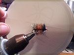Simple fly to tie but effective on trout. Use two different colored hackle. what every colors are present on your waters.