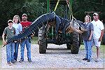 Alabama State Record Alligator. 15' 1011.5 pounds